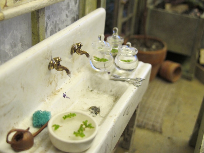 A very dirty sink, with tiny ferns growing in the jars.